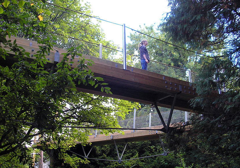 Tree canopy trail at Lough Key Forest Park.