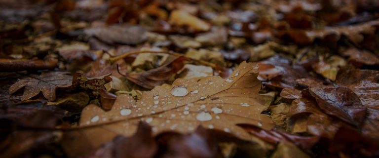 Top Spa Breaks in Athlone